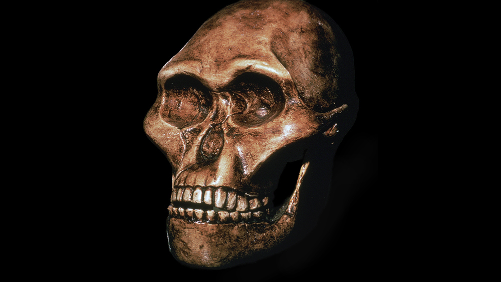 зубы древних людей