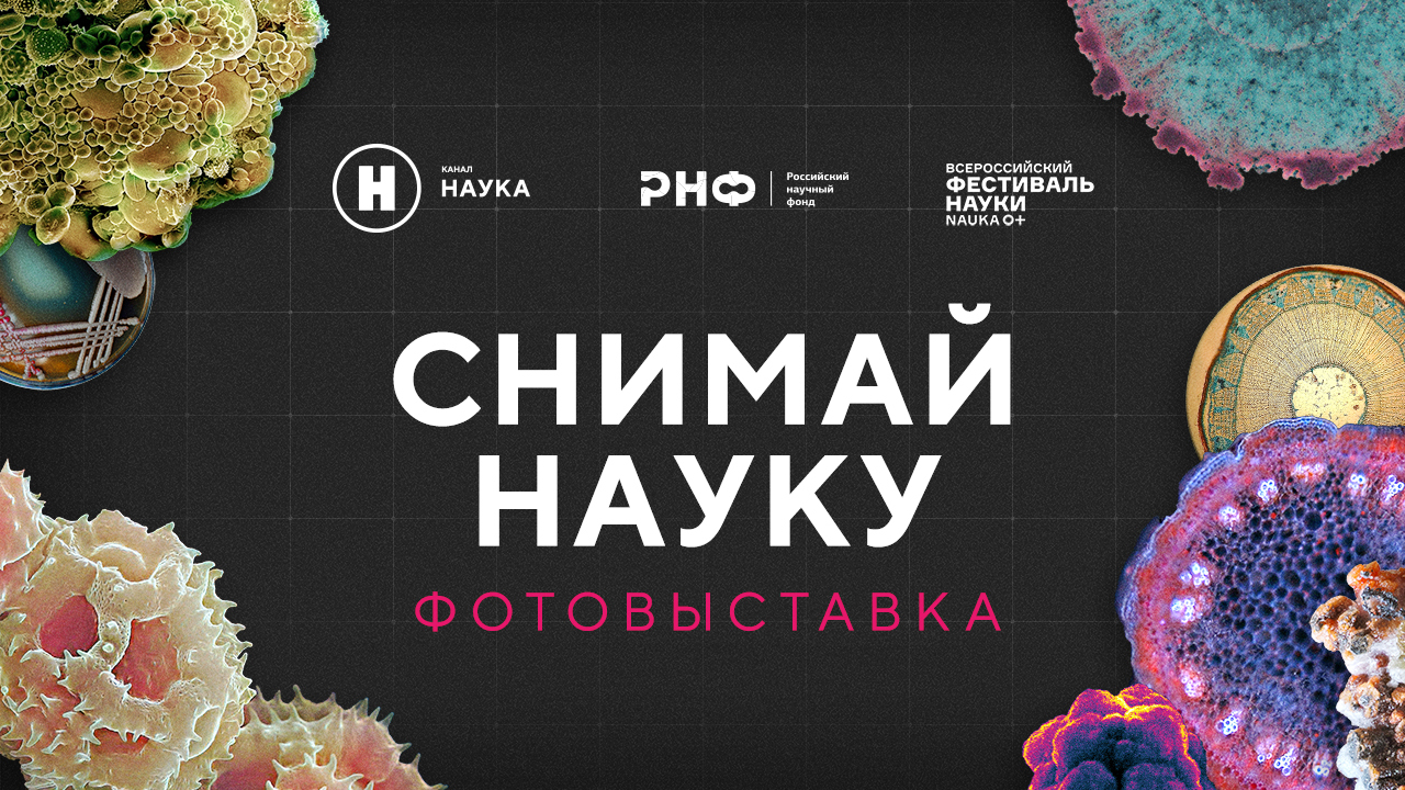 От микрочастиц меди до туманности Розетка: фотовыставка «Снимай науку!» откроется на Никитском бульваре