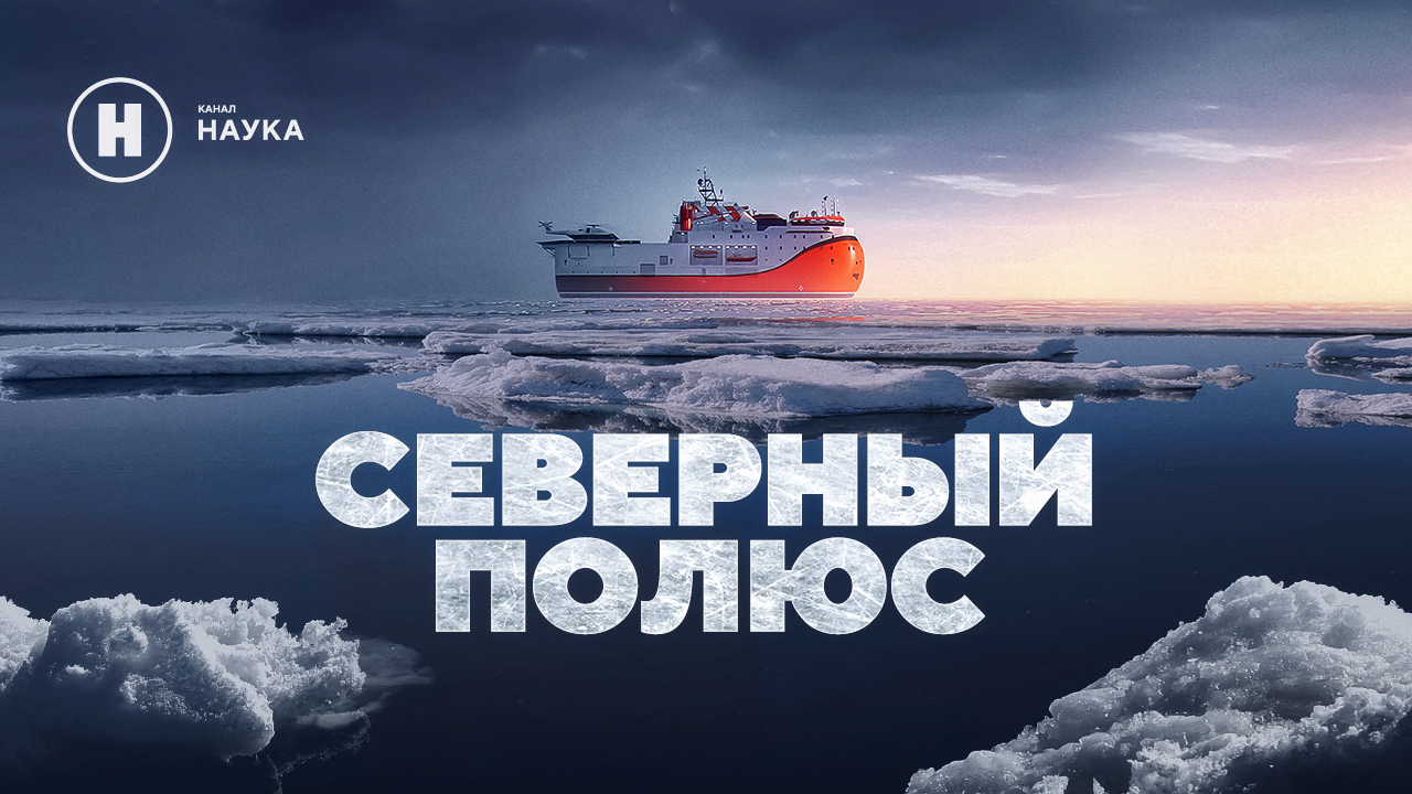 Проекты «Цифрового Телевидения» вошли в шорт-лист Международного кинофестиваля Near Nazareth