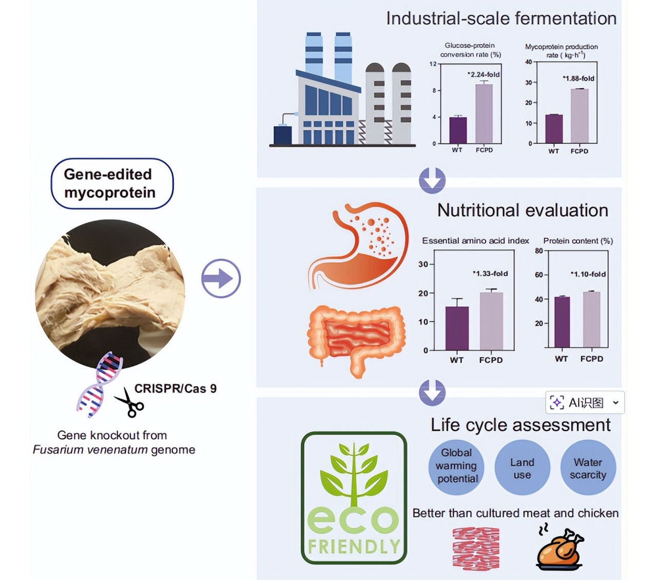 Микробный заменитель мяса