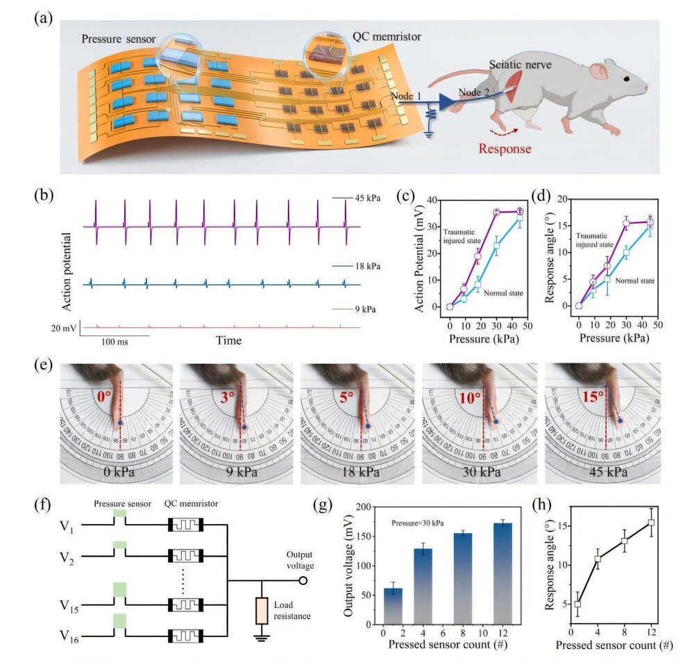 Искусственный рецептор с чувствительностью к боли
