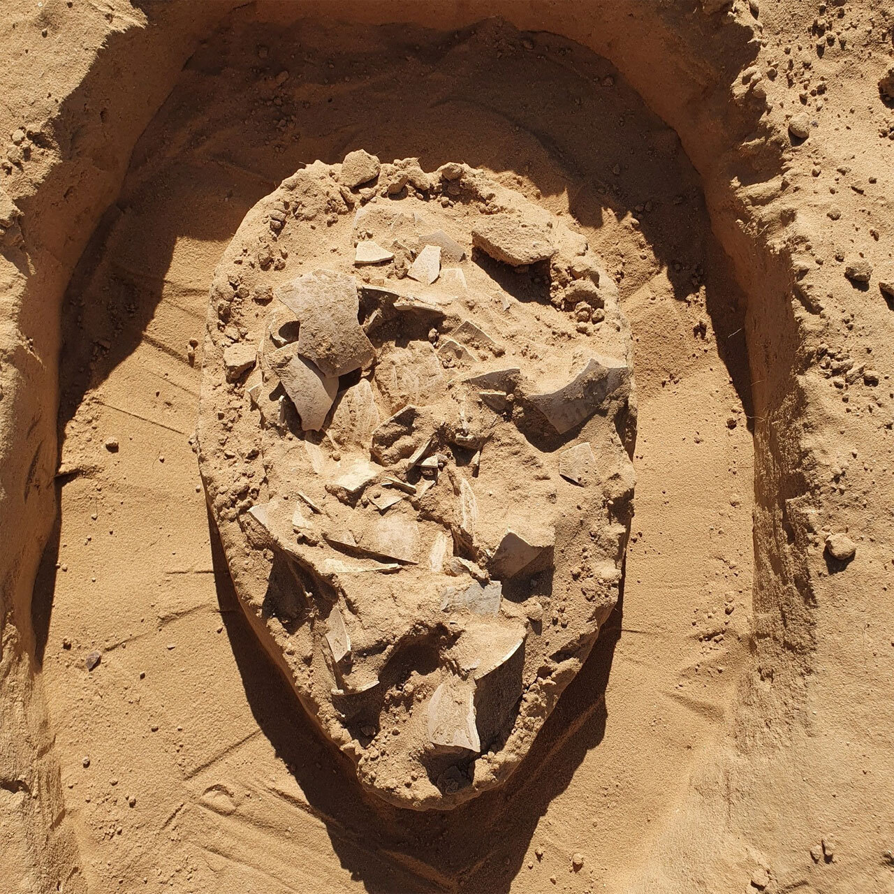 Археологи нашли в израильской пустыне запас страусиных яиц, которым 7000 лет