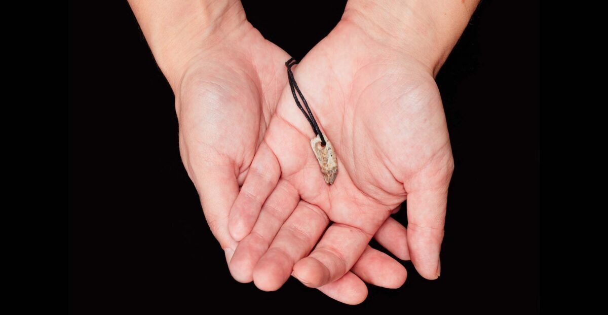 Кулон из зуба тюленя возрастом 15000 лет