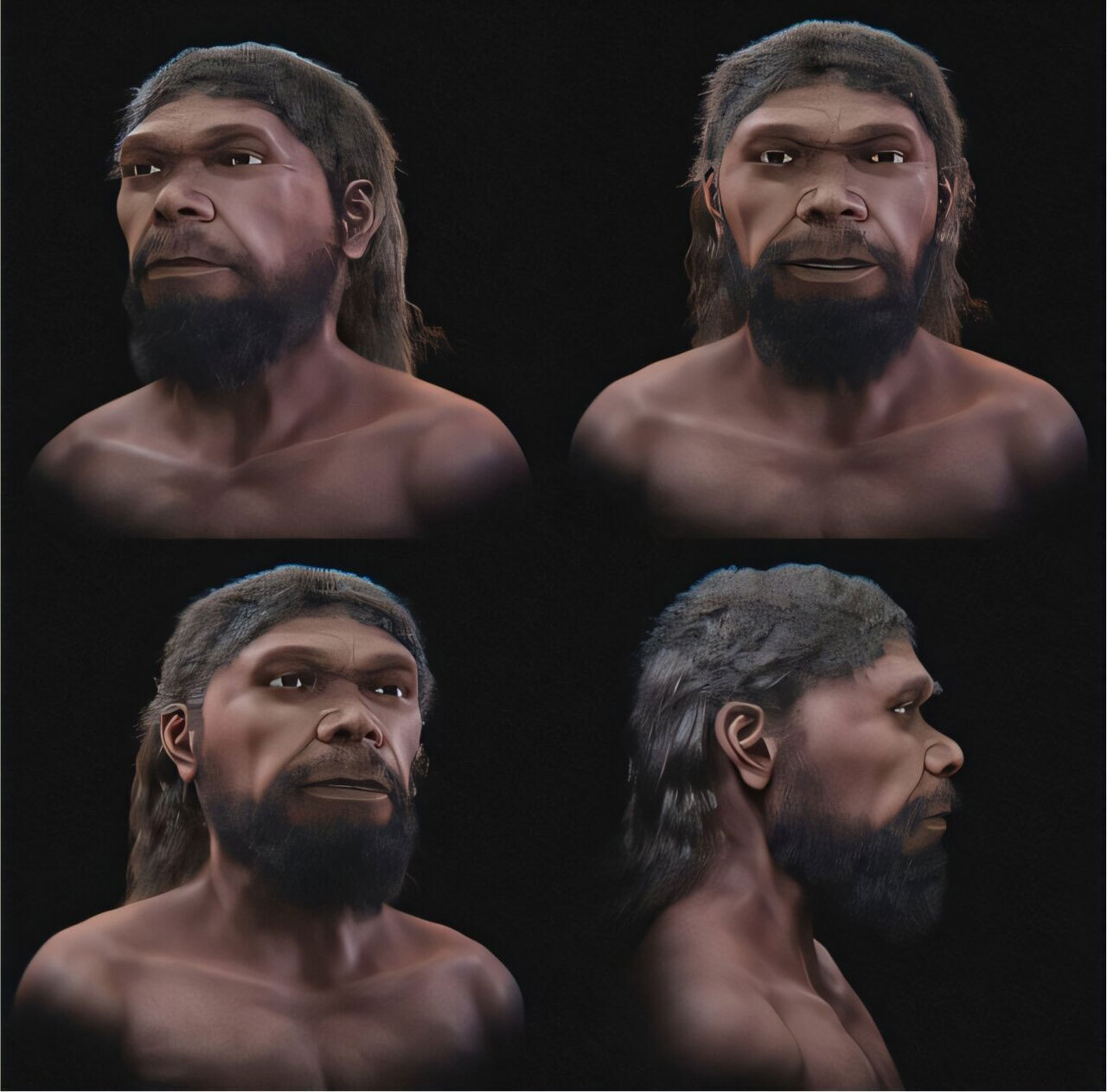 По найденным в Марокко окаменелостям воссоздано лицо древнейшего Homo sapiens