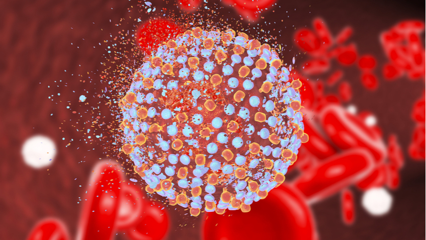 вирус гепатита C, 3D-модель