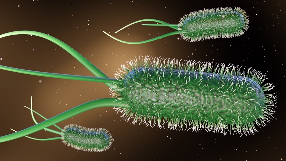 Кишечную палочку научили вырабатывать солнцезащитное средство, найденное в икре