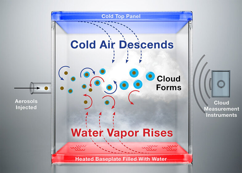 Камера Вильсона