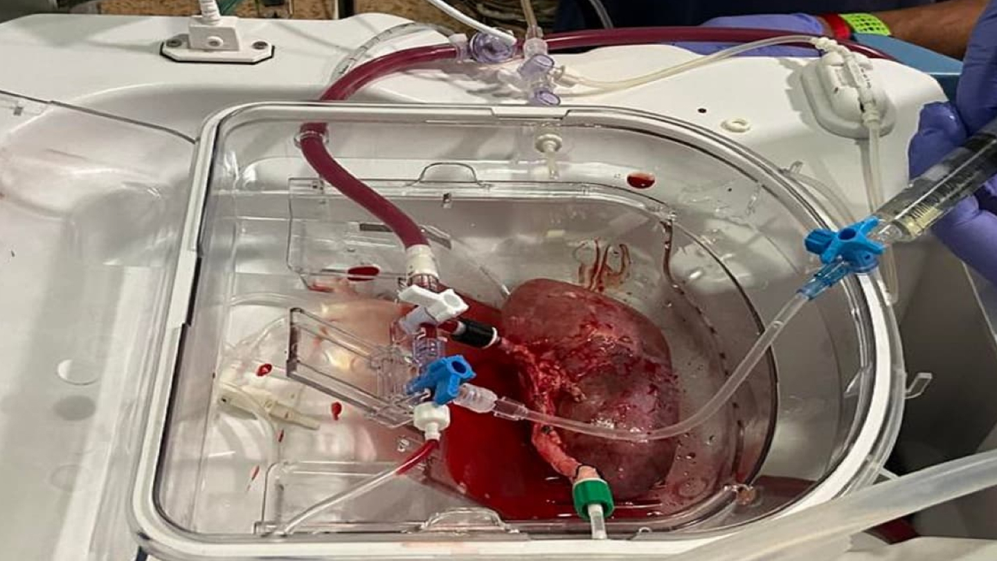 Биоинженеры