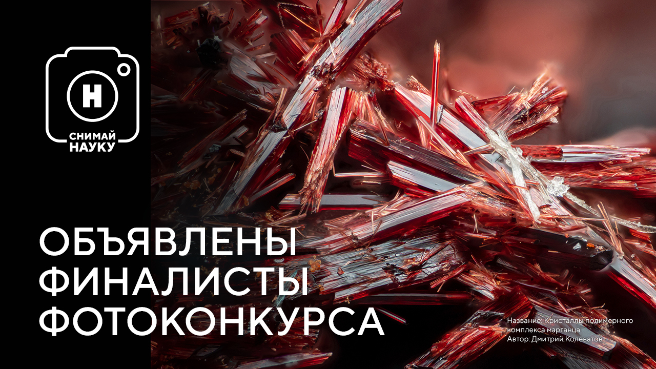 Цветы из меди, исследование гроз и светящиеся мыши: канал «Наука» объявил финалистов фотоконкурса «Снимай науку!»