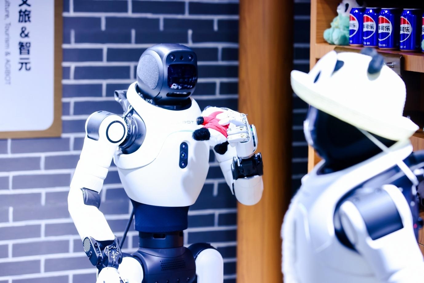 AGIBOT X2 EDU
