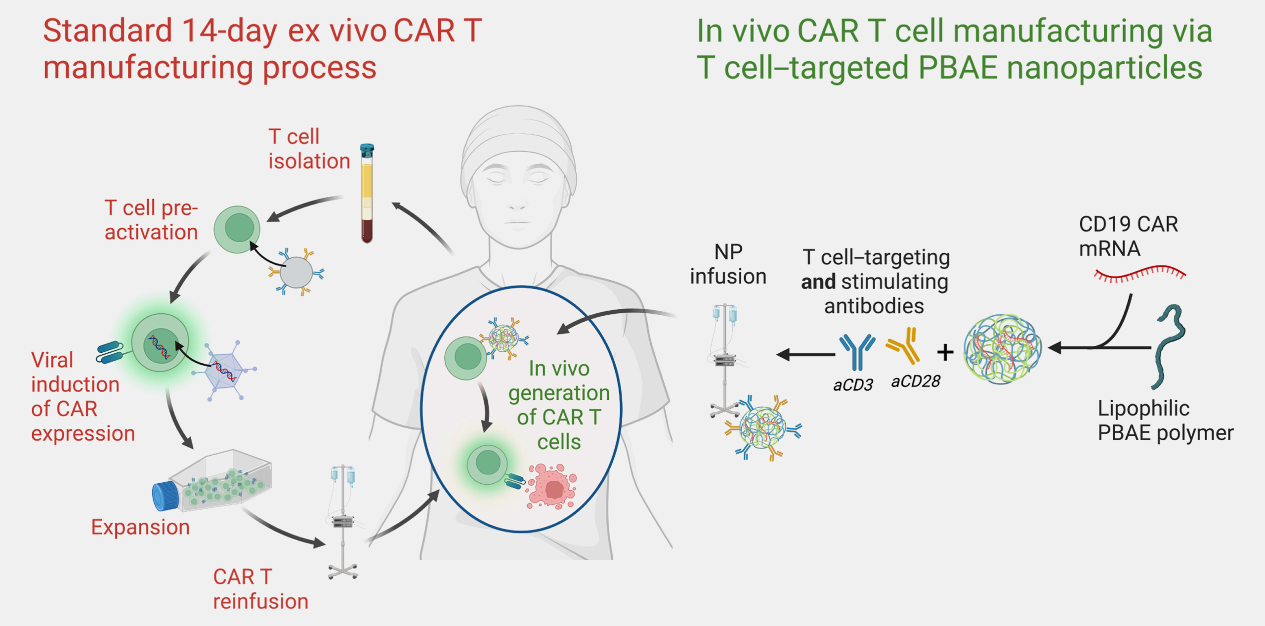 Раковые клетки