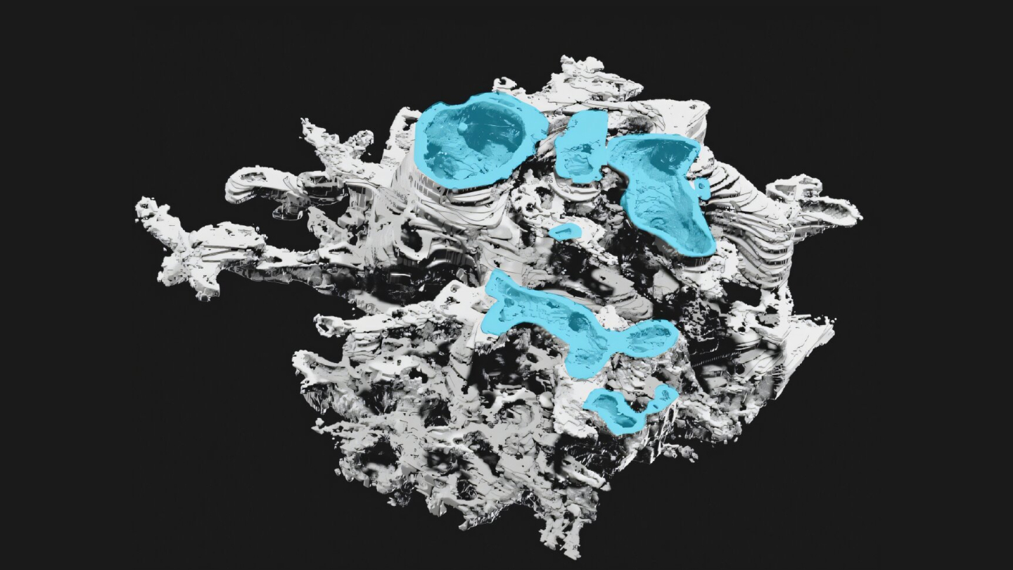 доисторический организм