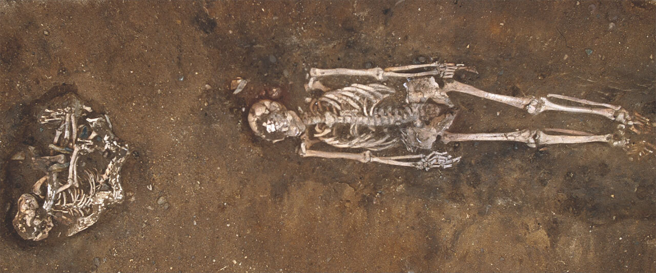 Первые одомашненные собаки в Европе