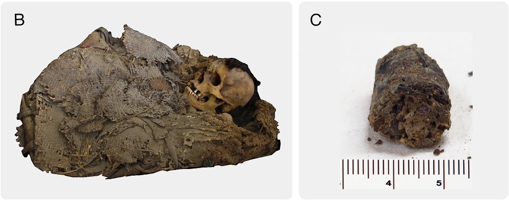 мумия, Мексика, 1000 лет назад