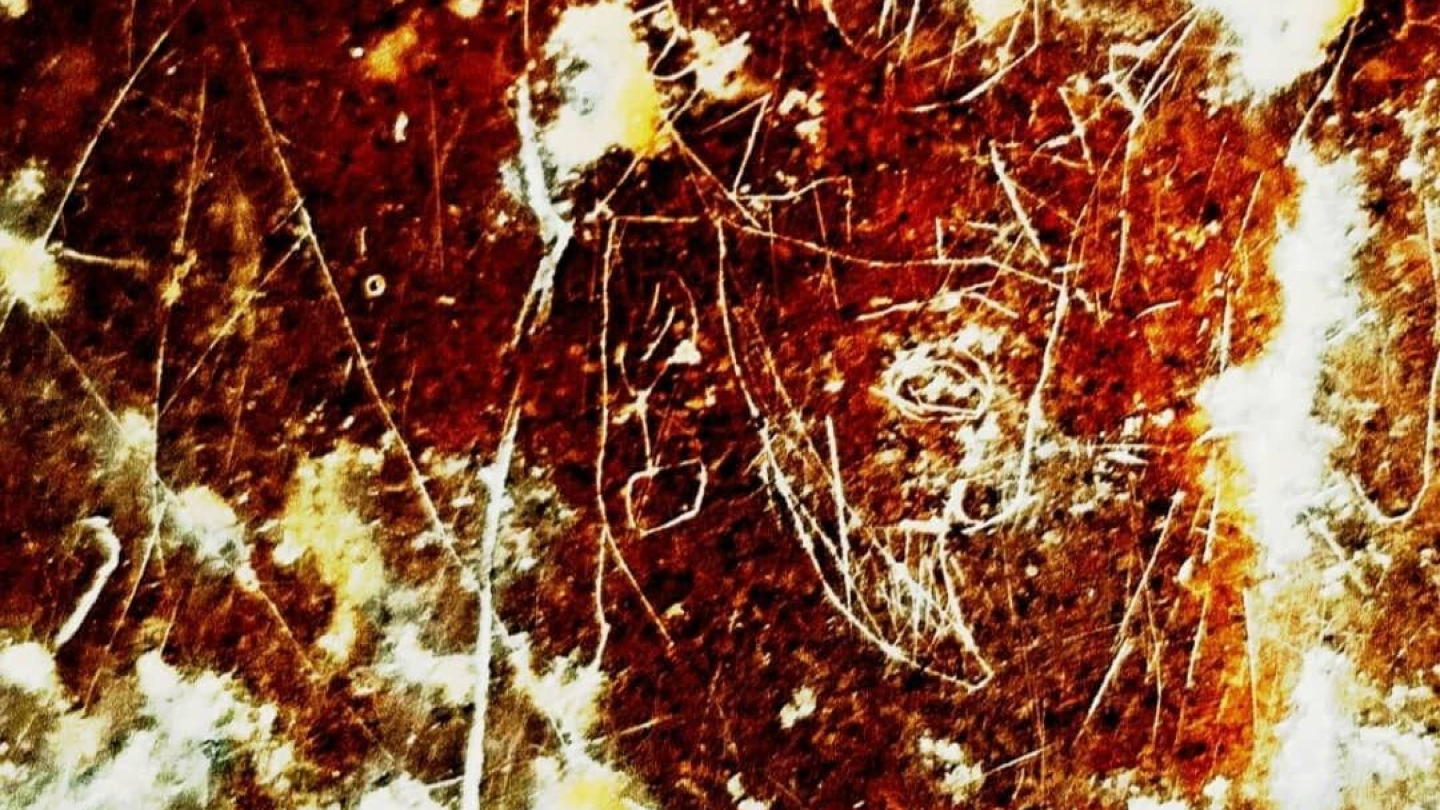 Лик сасанидского царя высеченный иглой 1400 лет назад