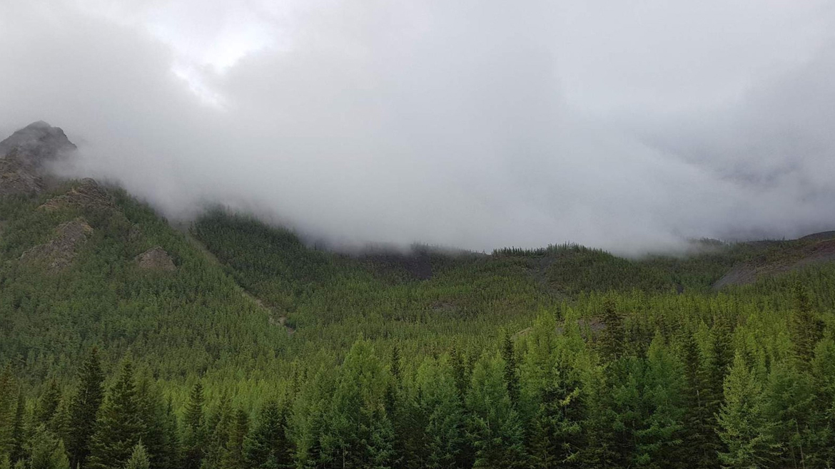 Туман спустился на алтайские горы