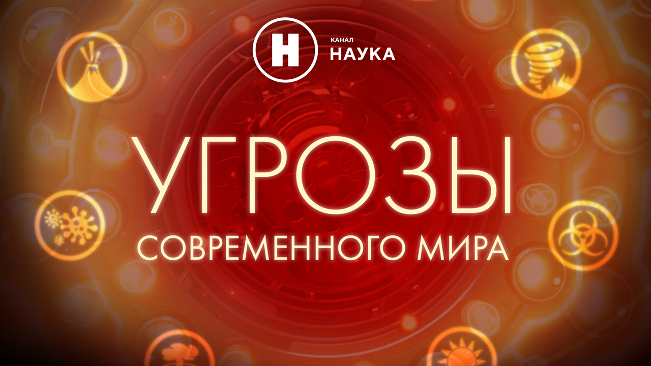 Иллюзия сытости и скрытая опасность полуфабрикатов: премьеры на «Науке»