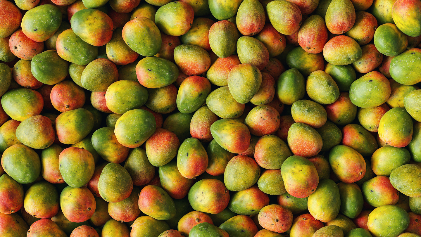 Бразилия, манго