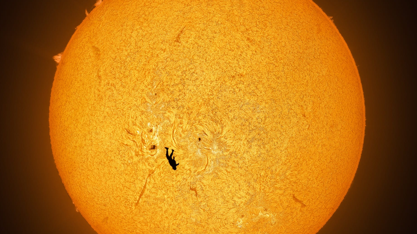 Лучшие научные снимки 2025 года