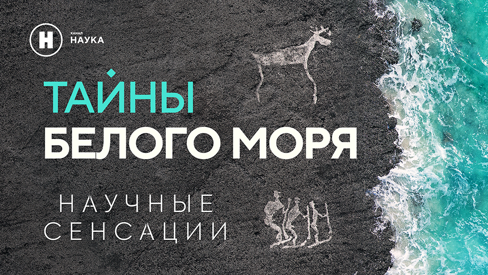 «Научные сенсации. Тайны Белого моря» — лауреат телефестиваля «Человек и море»