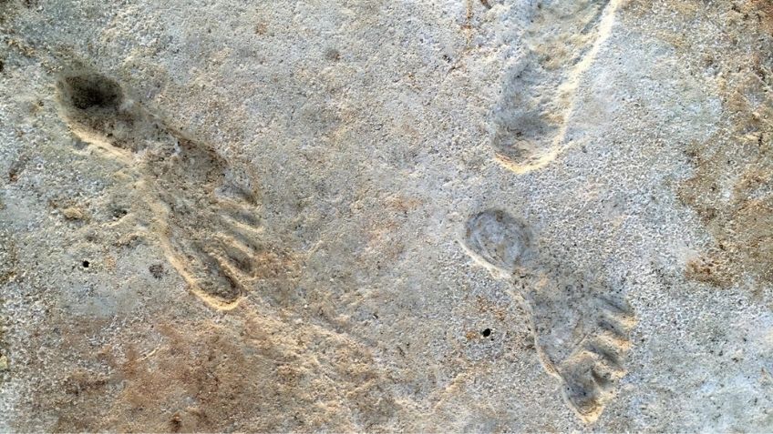 Найдены самые древние следы человека в Северной Америке - Телеканал Наука