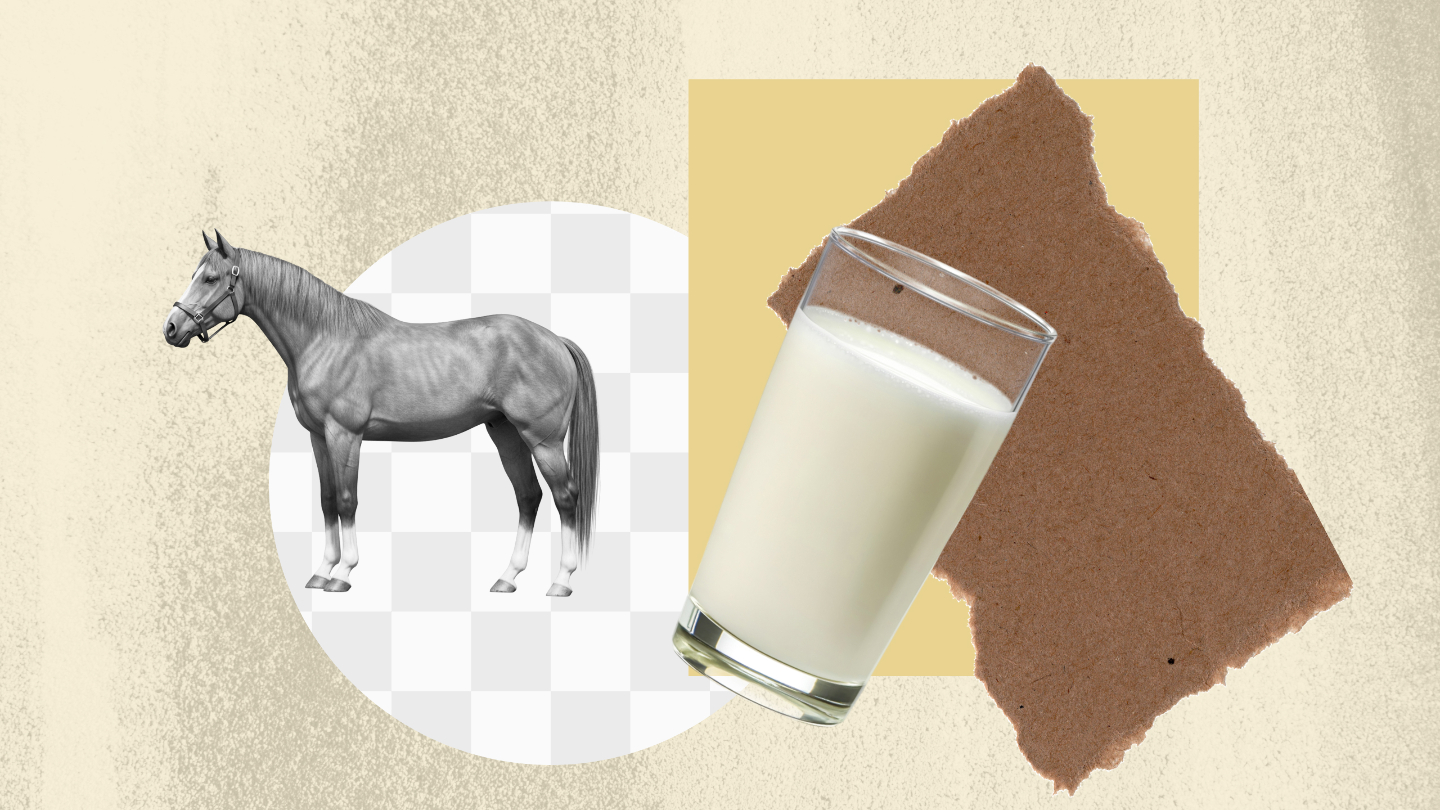 Наука, кумыс, история