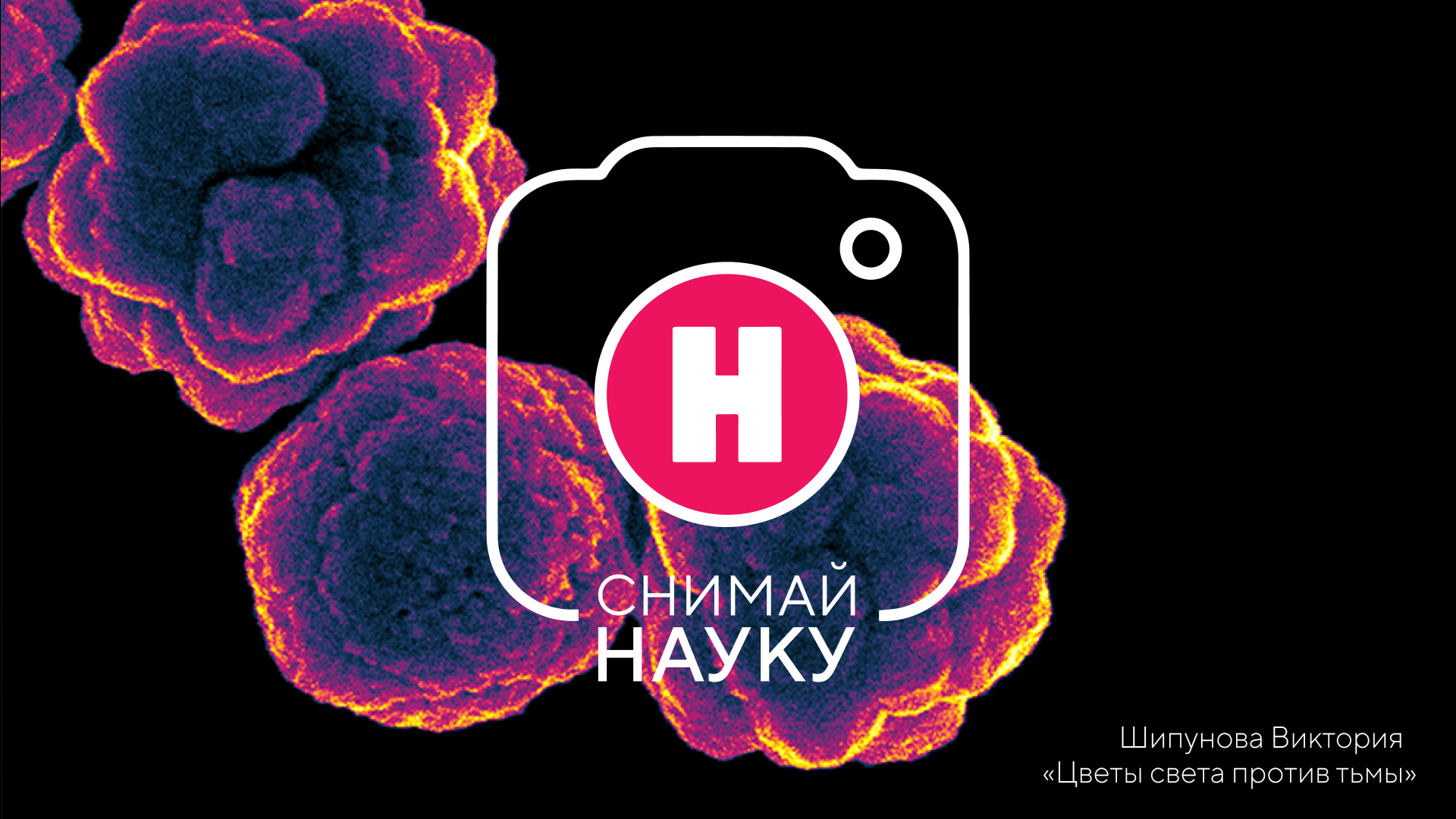 Объявлен шорт-лист фотоконкурса «Снимай науку!» 2026 года