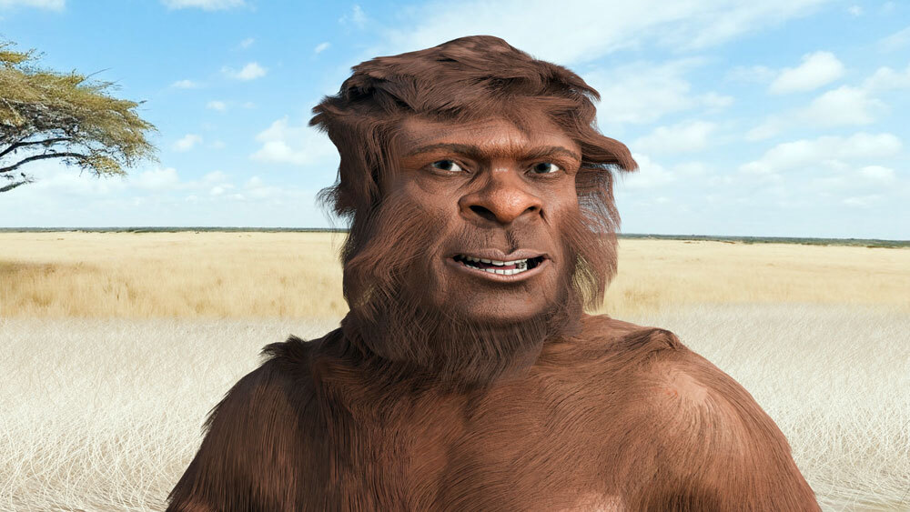 Денисовцы и Homo erectus могли скрещиваться, показало исследование ископаемых зубов