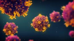 Найден новый путь, по которому вирусы скрытно распространяются в организме