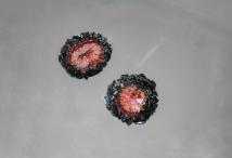 Gleb Korovko - Застывшие цветы