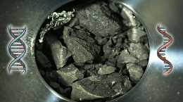 На астероиде Рюгу нашли все ключевые молекулы для ДНК и РНК