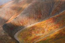 Андрей Белавин - Палитра осени