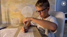 Химический сад