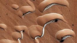 Иней на Марсе (фото сделано 16 апреля 2018 года)