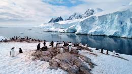 Таяние антарктических ледников