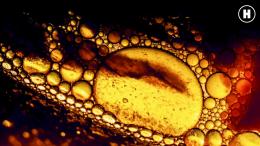 Вселенная супов