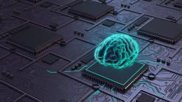 Первый в мире дата-центр с нейронами человеческого мозга