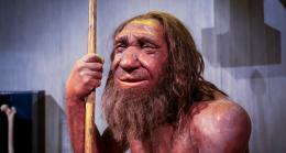 неандертальцы