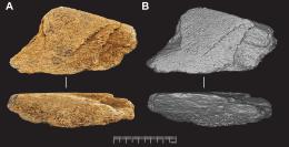 Найденный в Англии артефакт оказался древнейшим в Европе орудием из слоновой кости