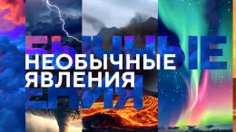 Шаровые молнии и дождь из лягушек: «Необычные явления» на «Науке»