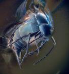  Михаил  Грибков  - Затерянный во времени