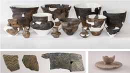 Древние европейцы перерабатывали молоко для лучшего усвоения