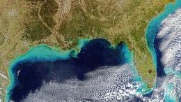  На этом спутниковом снимке, сделанном в декабре 2023 года, большой, богатый осадками шлейф из реки Миссисипи распространяется по побережью Мексиканского залива после зимних дождей в Луизиане и Техасе 