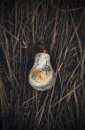 Алексеева Наталья - Эпоха, проросшая быльём