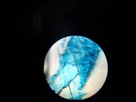 Игнат Полещук - Кристалл под микроскопом