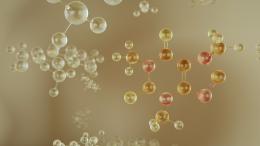 Структура молекулы кофеина C8H10N4O2