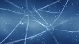 В мозге нашли нейронные «штрихкоды» для предсказания особенностей личности