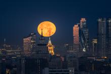 Олег Токарев - Лунная корона