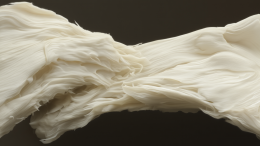 В Китае создан микробный заменитель мяса