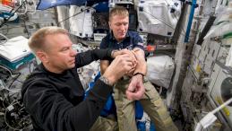 Астронавты сдают кровь для исследования количества эритроцитов